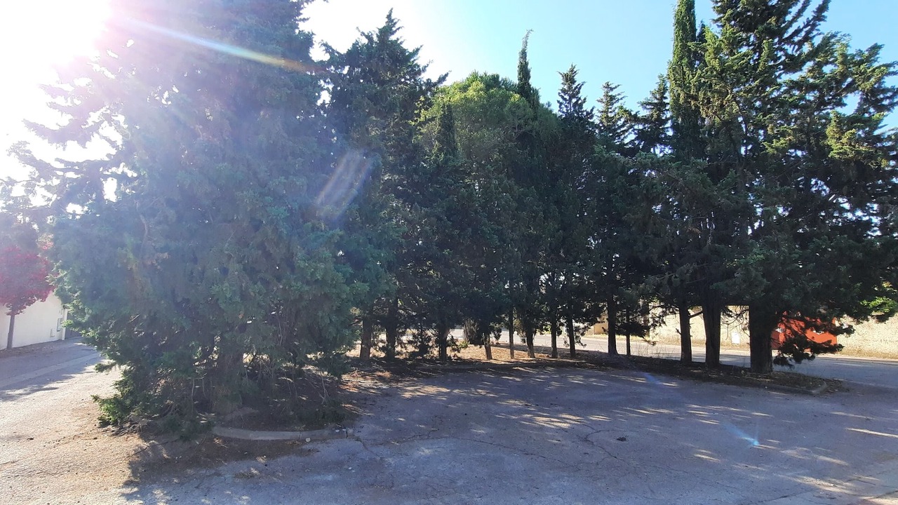 Photo of Outdoor in Cournonterral