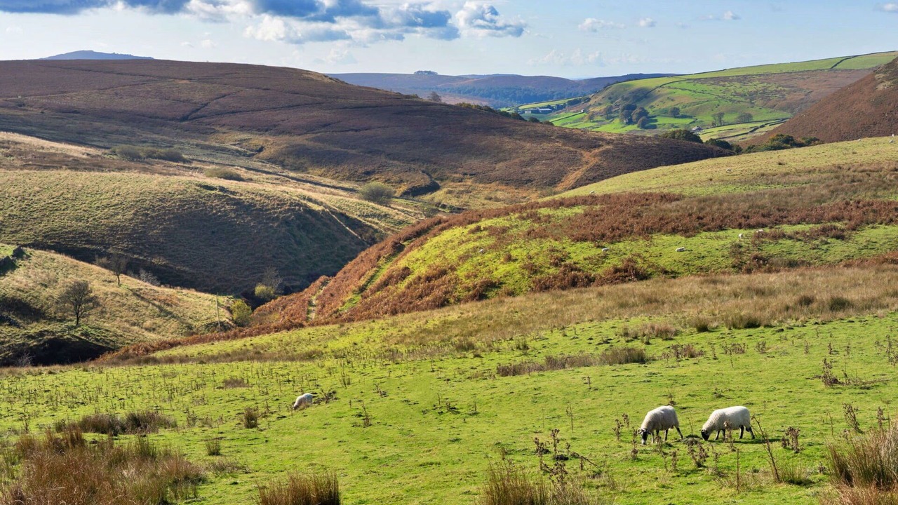 Photo of Others in Buxton