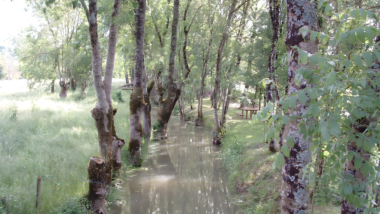 Photo of Others in Saint-Martin-de-Fraigneau