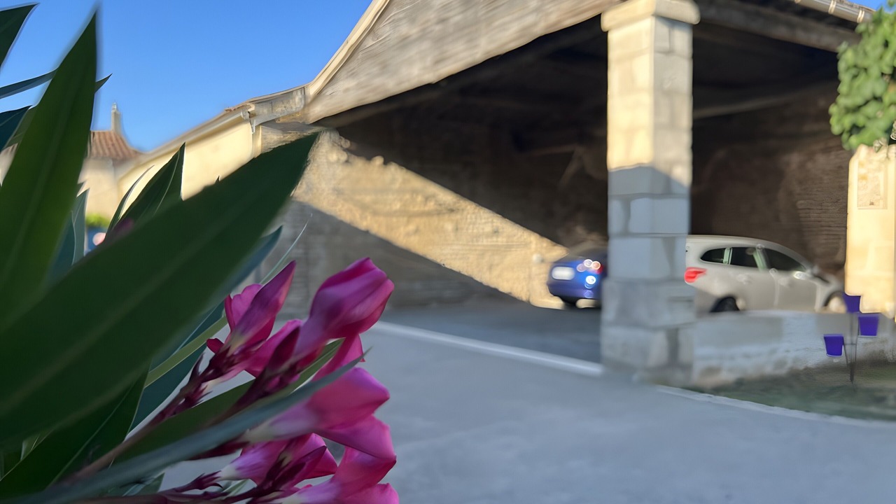 Photo of Outdoor in Saint-Martin-de-Fraigneau