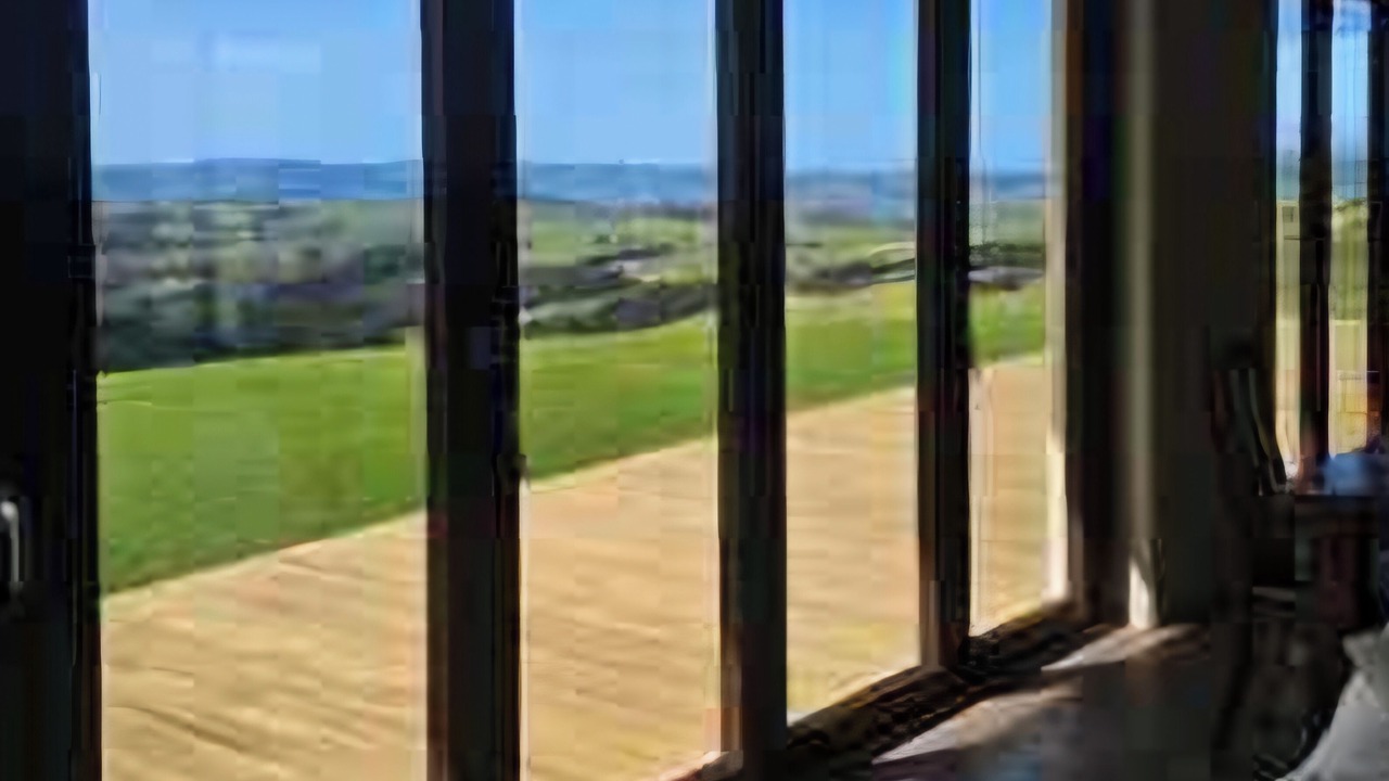 Photo of Others in Mangapai