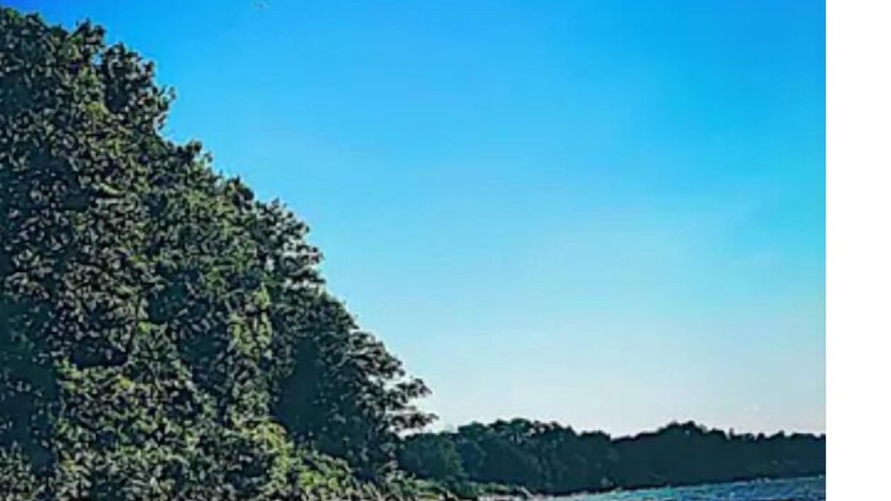 Photo of Others in Fredonia