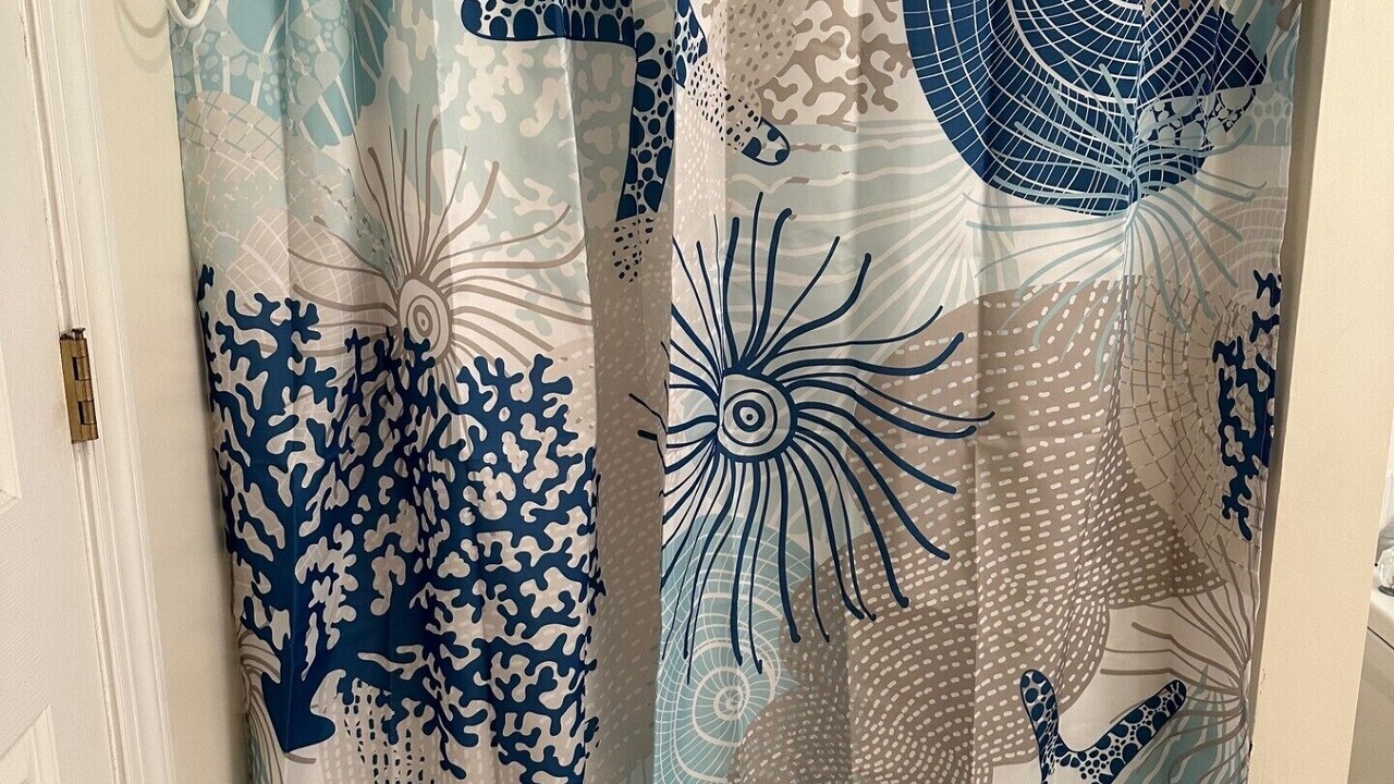 Photo of Others in Cape Charles