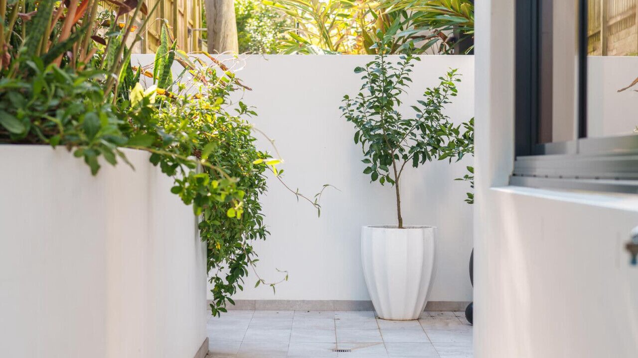 Photo of Outdoor in Vaucluse