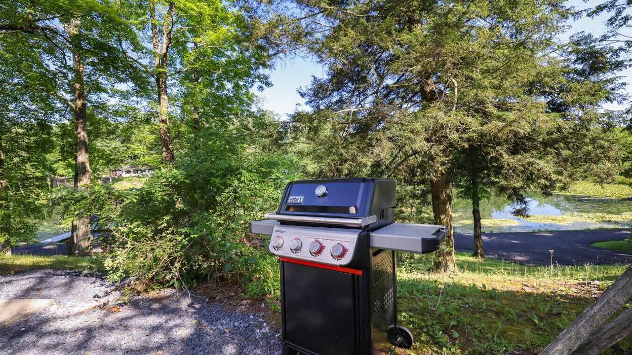 Photo of Outdoor in Saylorsburg