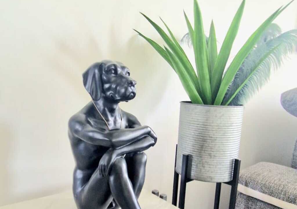 Photo of Others in Annemasse