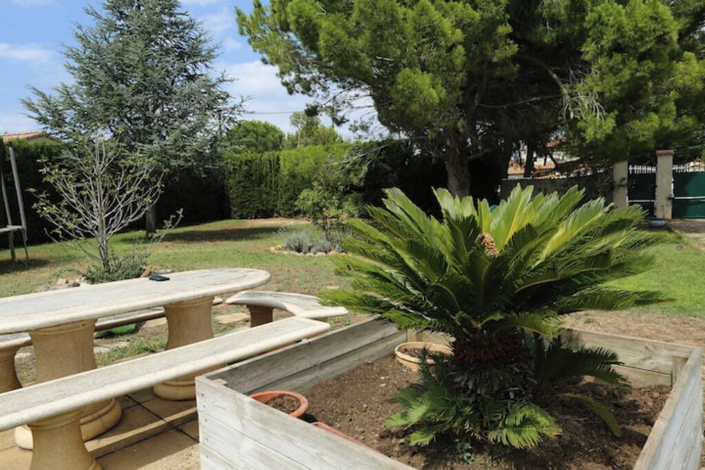 Photo of Outdoor in Canet