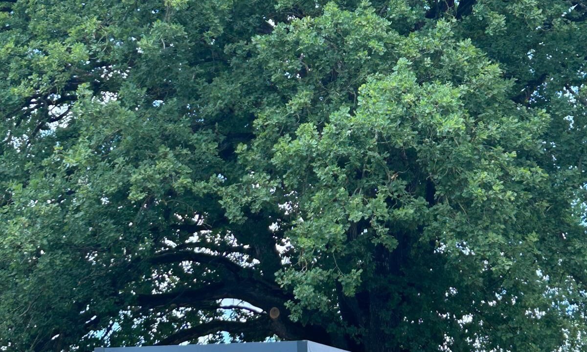 Photo of Outdoor in Capavenir-Vosges