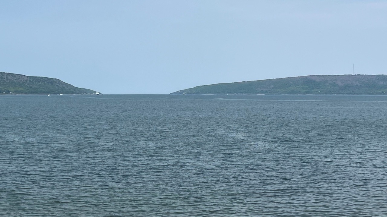 Photo of Others in Smiths Cove