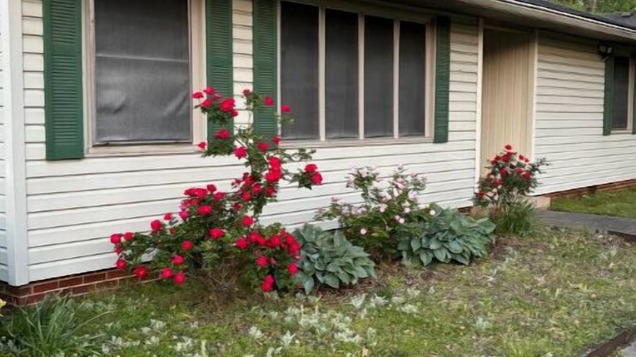 Photo of Outdoor in Albertville