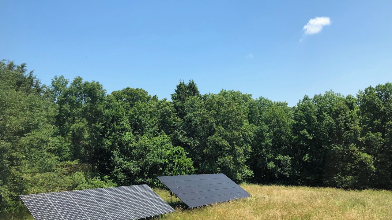 Photo of Others in Hampton