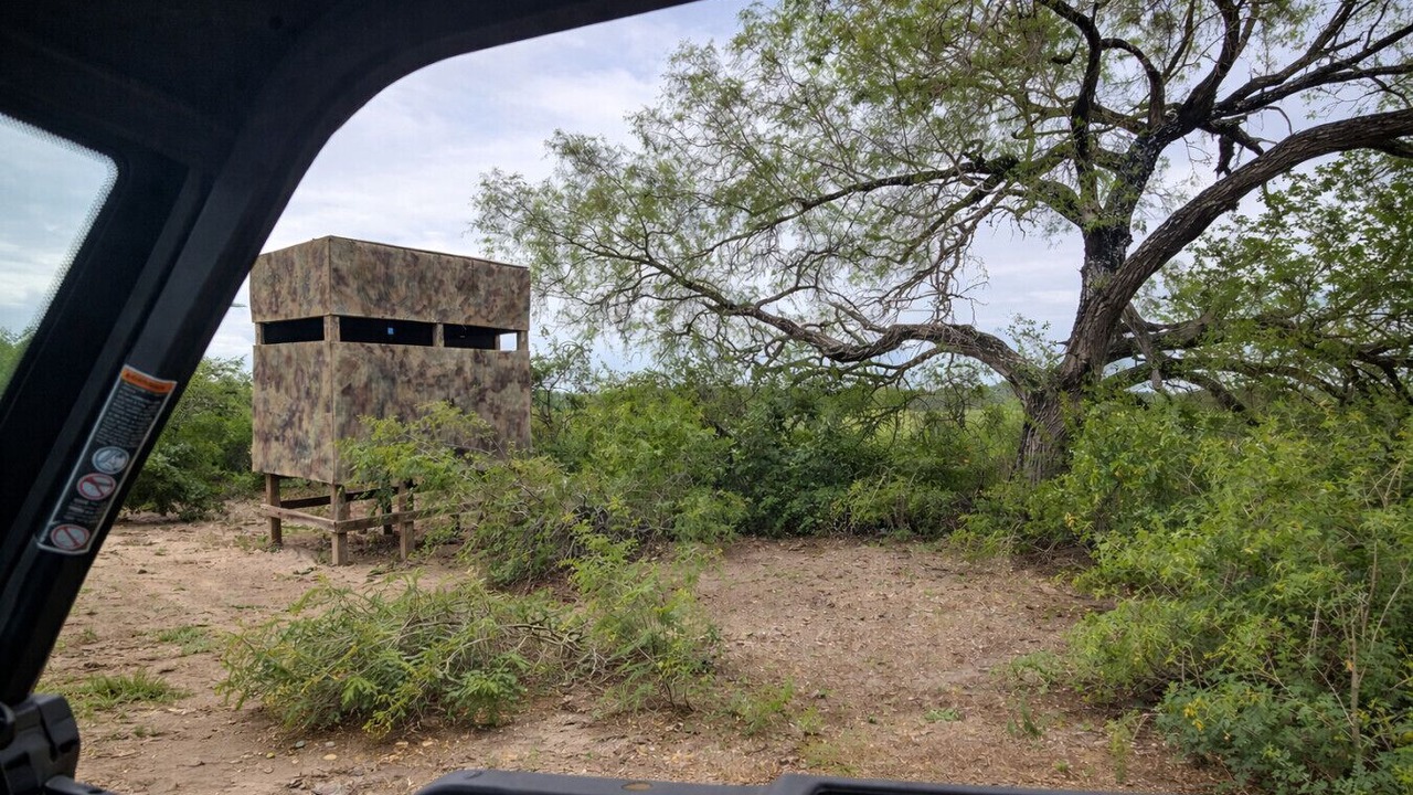 Photo of Outdoor in Hondo