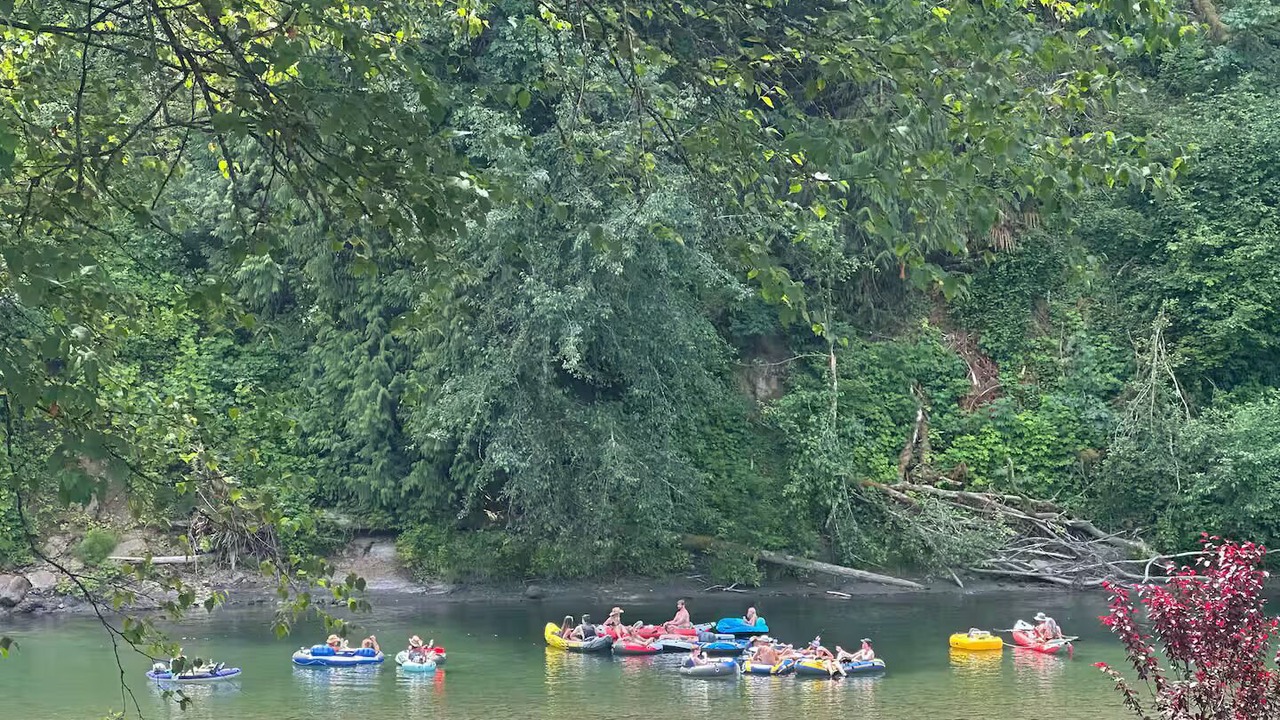 Photo of Others in Arlington