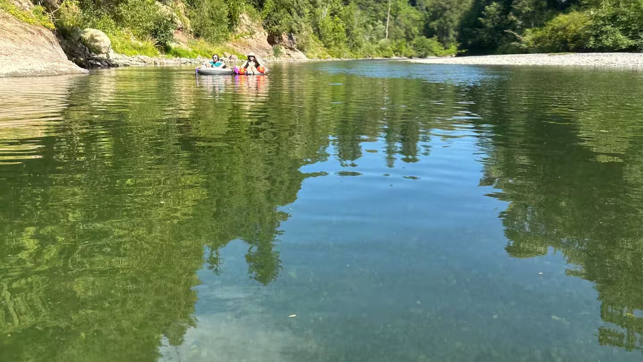 Photo of Others in Arlington