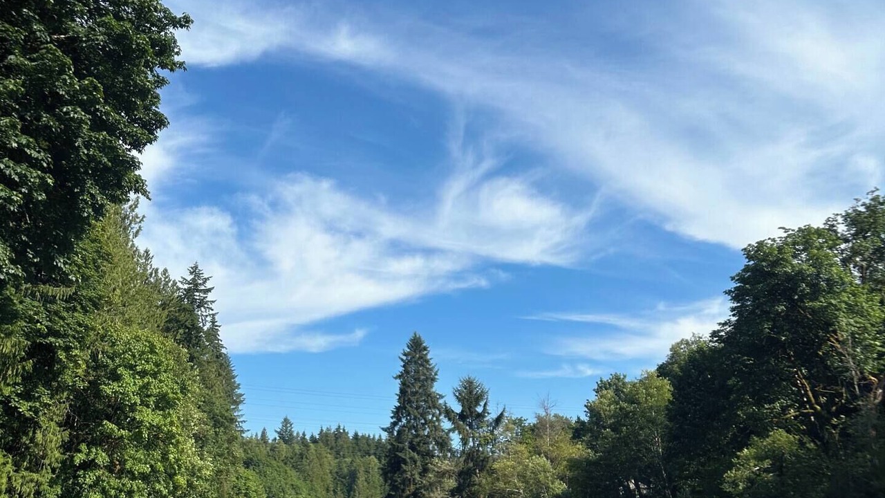 Photo of Others in Arlington