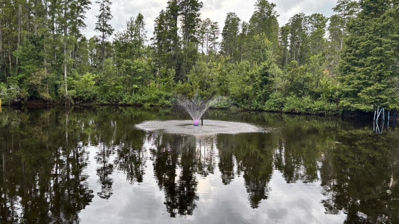 Photo of Others in Wesley Chapel South