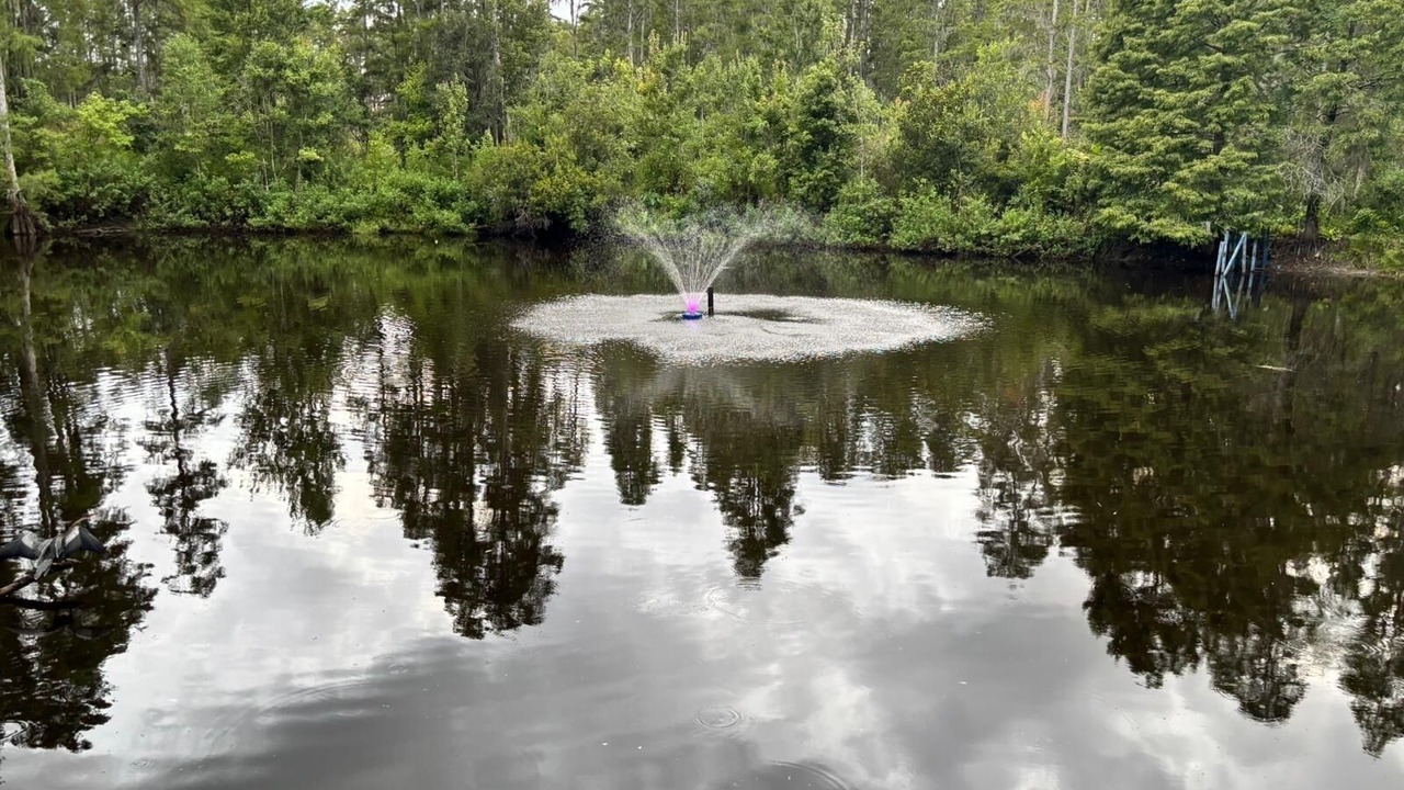 Photo of Others in Wesley Chapel South
