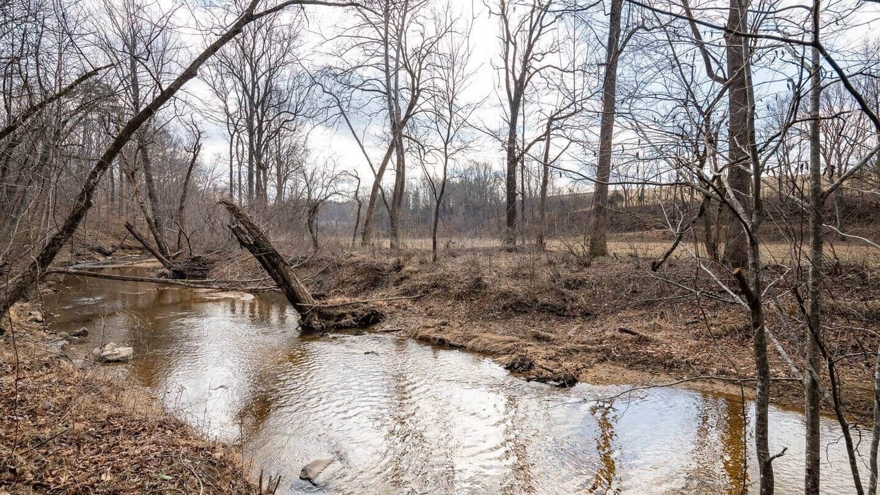 Photo of Outdoor in Palmyra