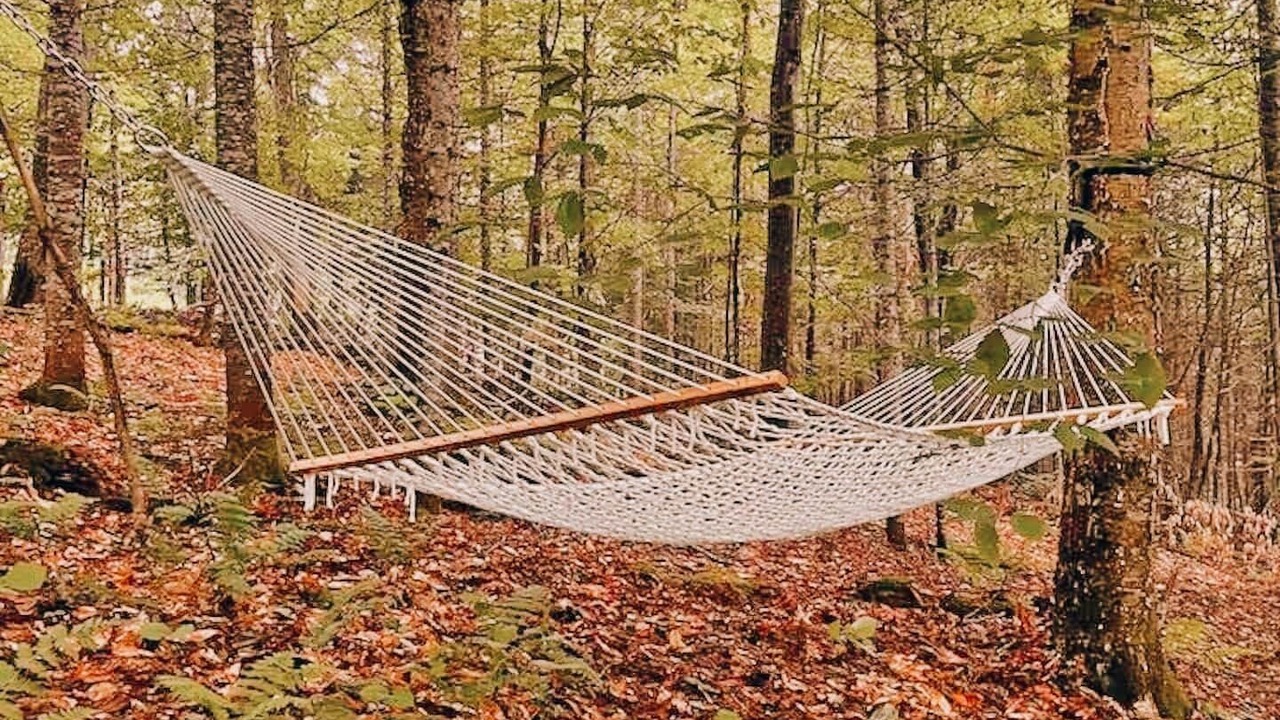 Photo of Outdoor in Saint-Faustin-Lac-Carre