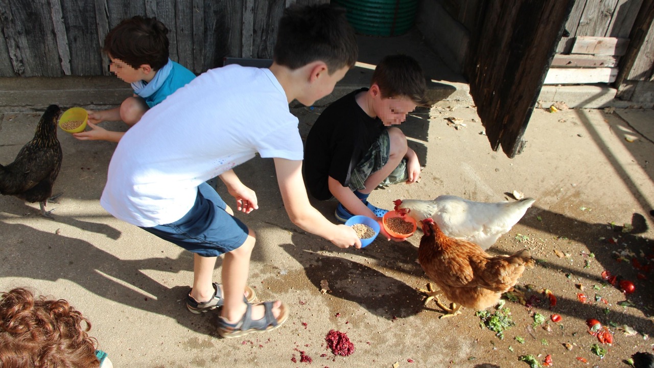 Photo of Others in Les Champs-Geraux