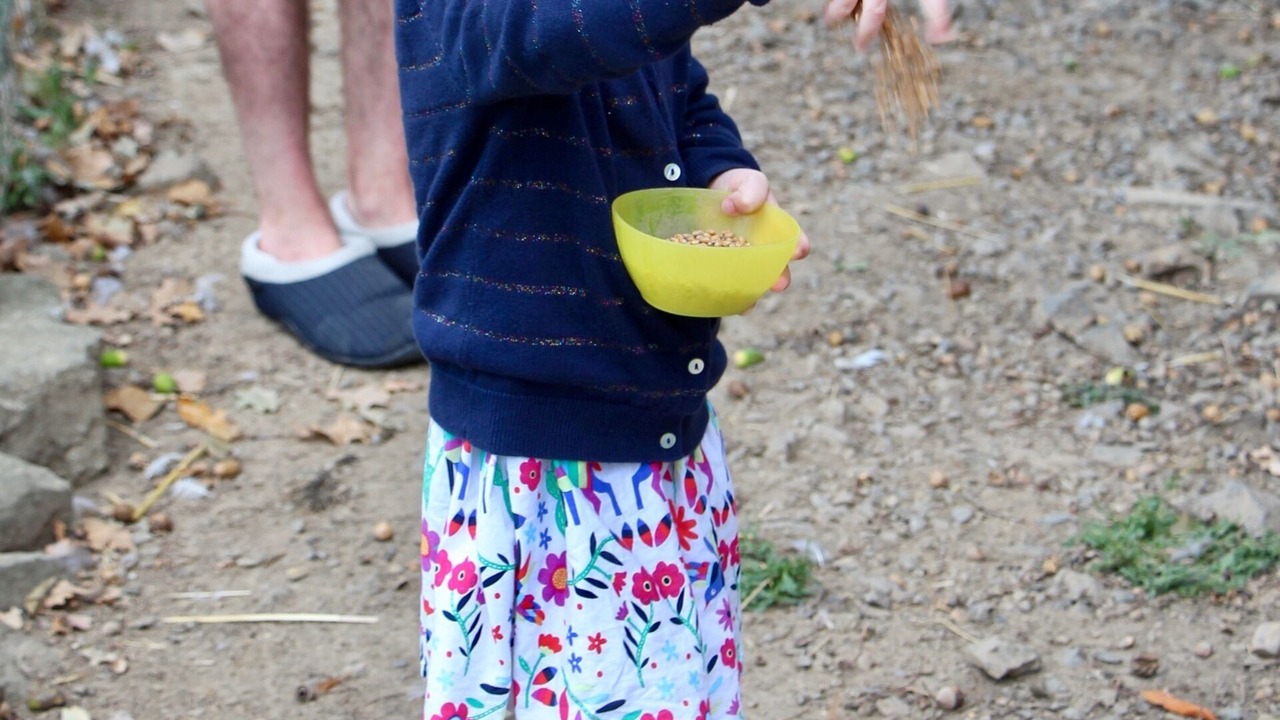 Photo of Others in Les Champs-Geraux