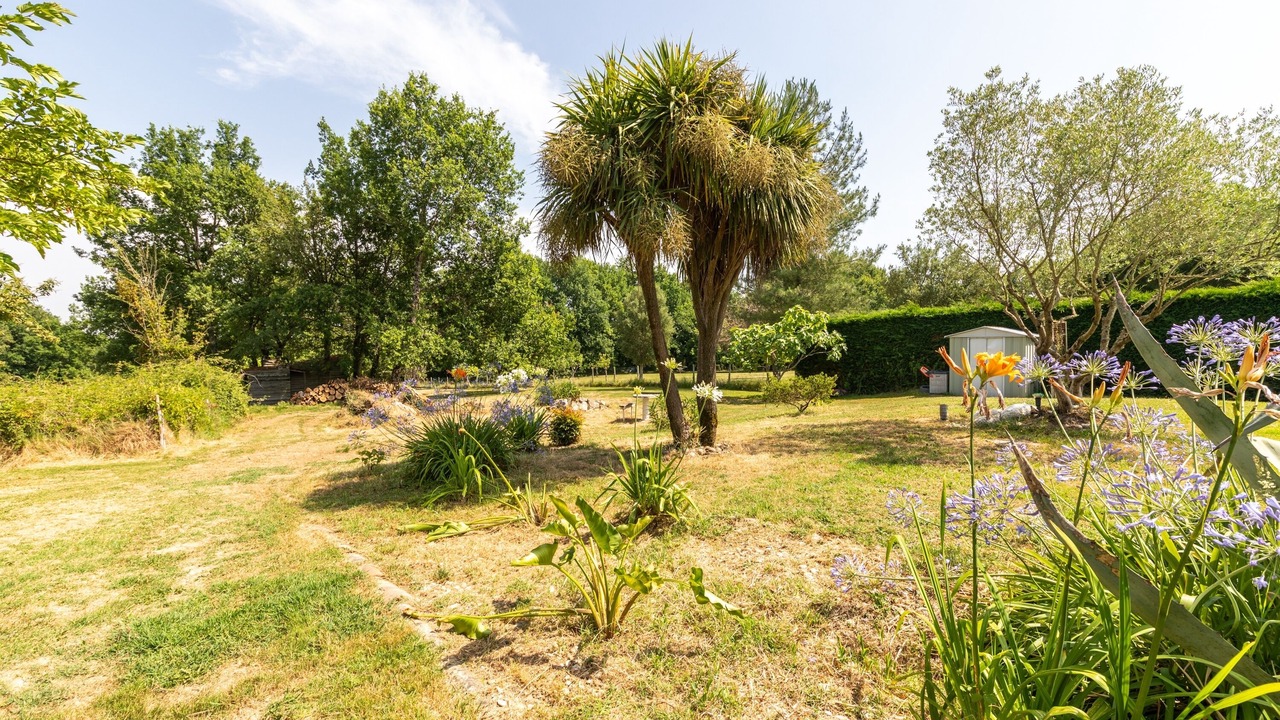 Photo of Outdoor in Fals