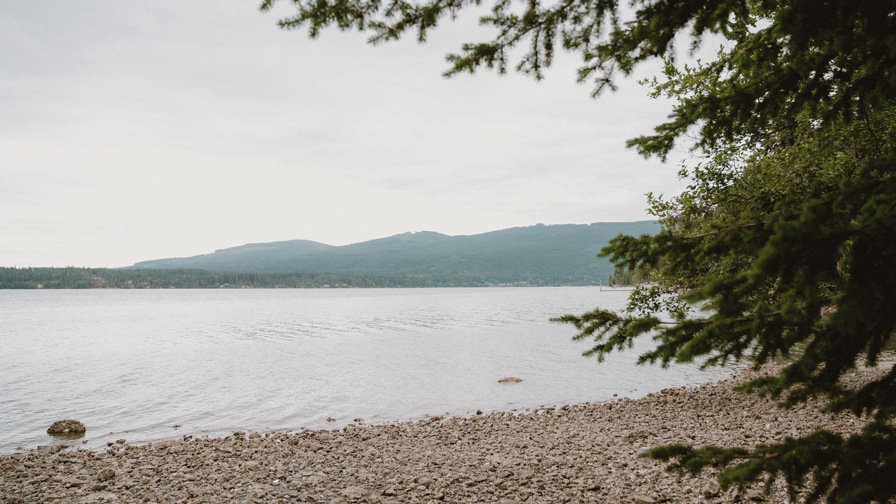 Photo of Others in Sequim