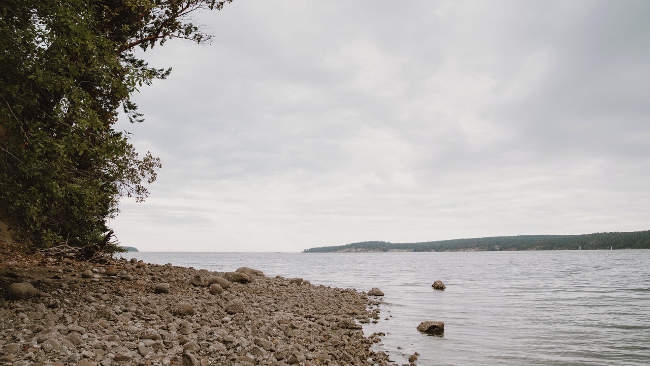 Photo of Others in Sequim