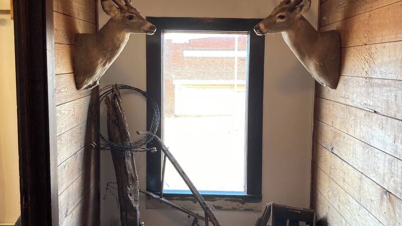 Photo of Others in Hollis