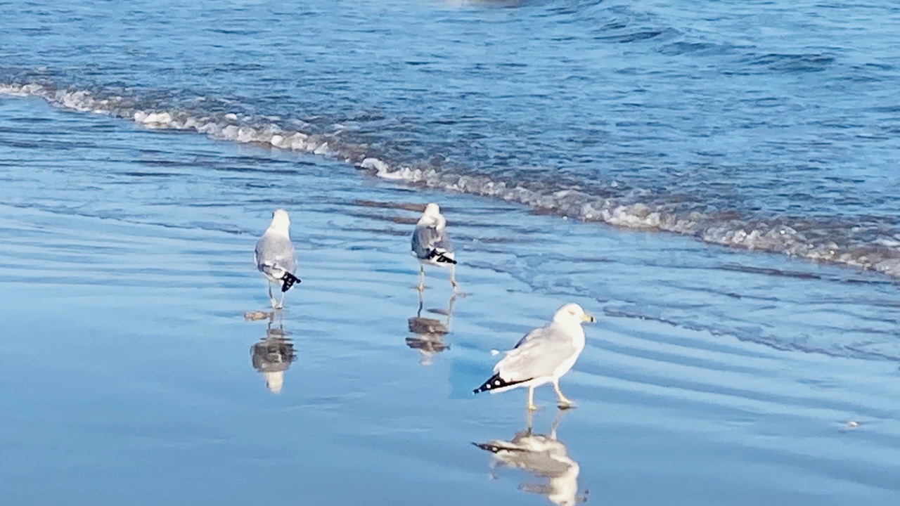 Photo of Others in Corpus Christi