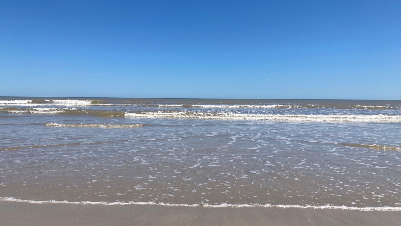 Photo of Others in Corpus Christi