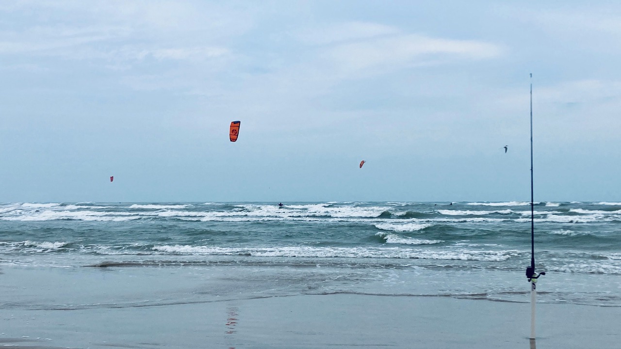 Photo of Others in Corpus Christi