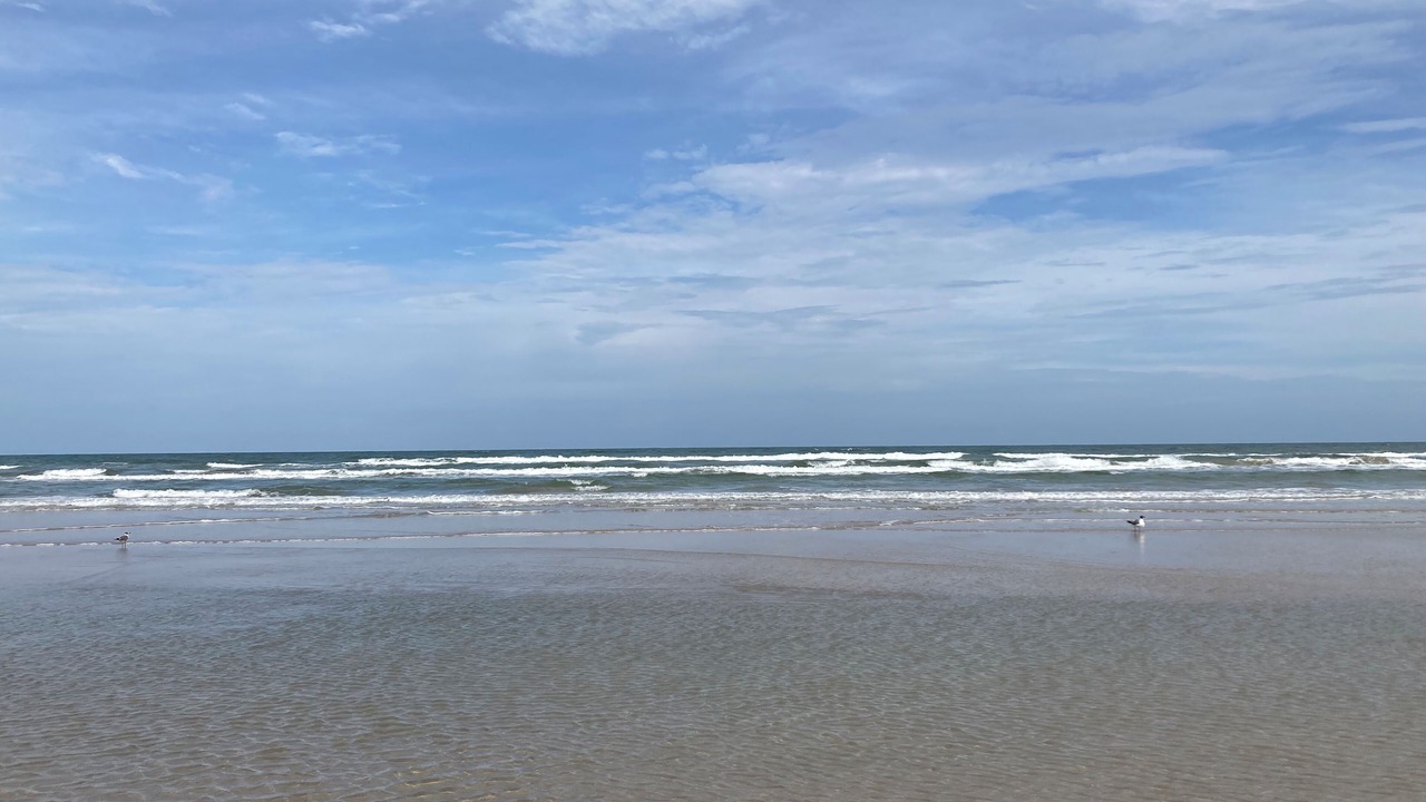 Photo of Others in Corpus Christi