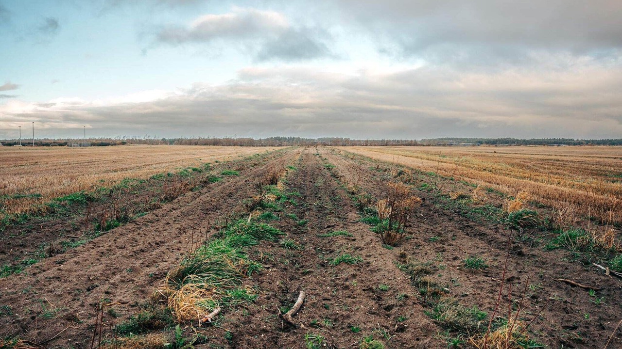 Photo of Others in Vester Hjermitslev
