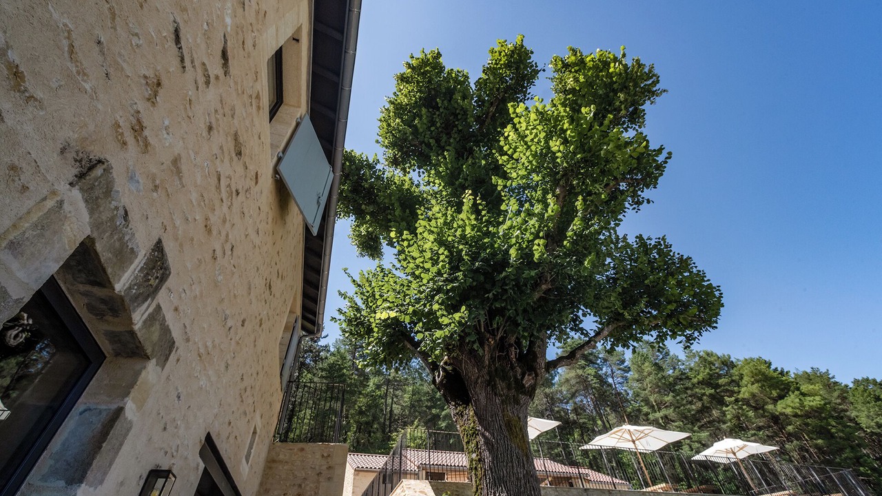 Photo of Outdoor in Saint-Germain-de-Belves