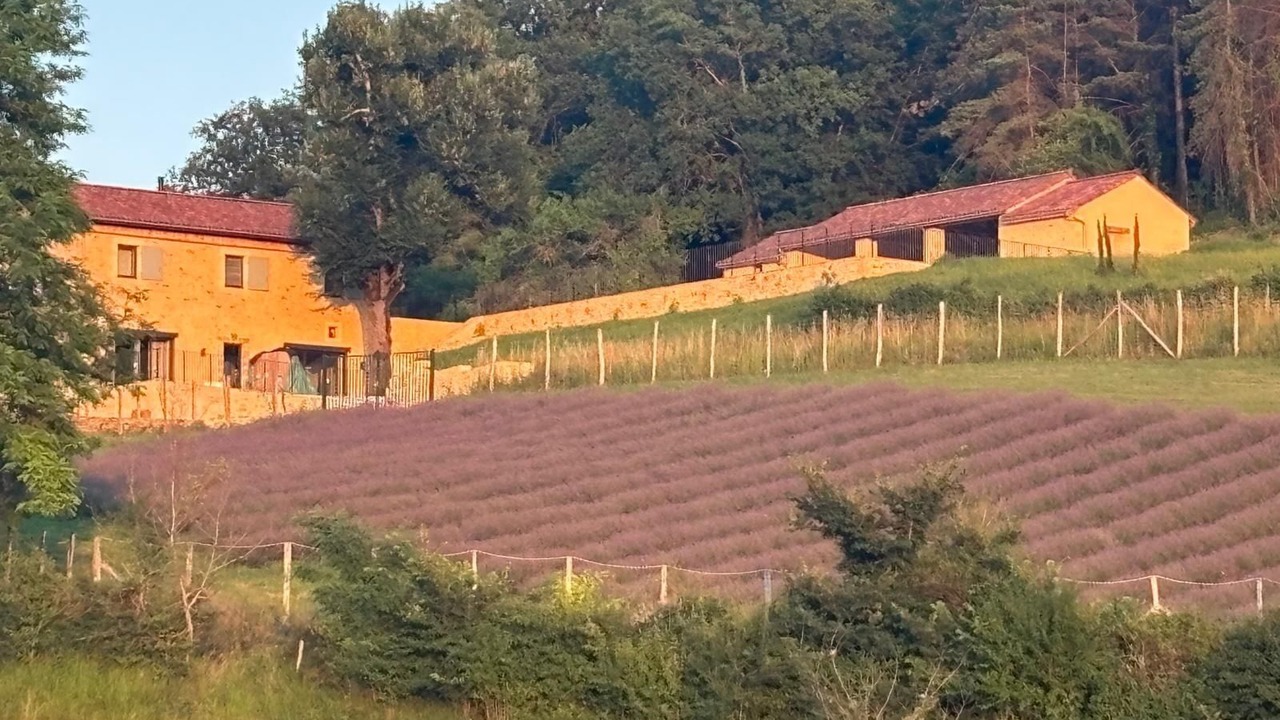 Photo of Outdoor in Saint-Germain-de-Belves
