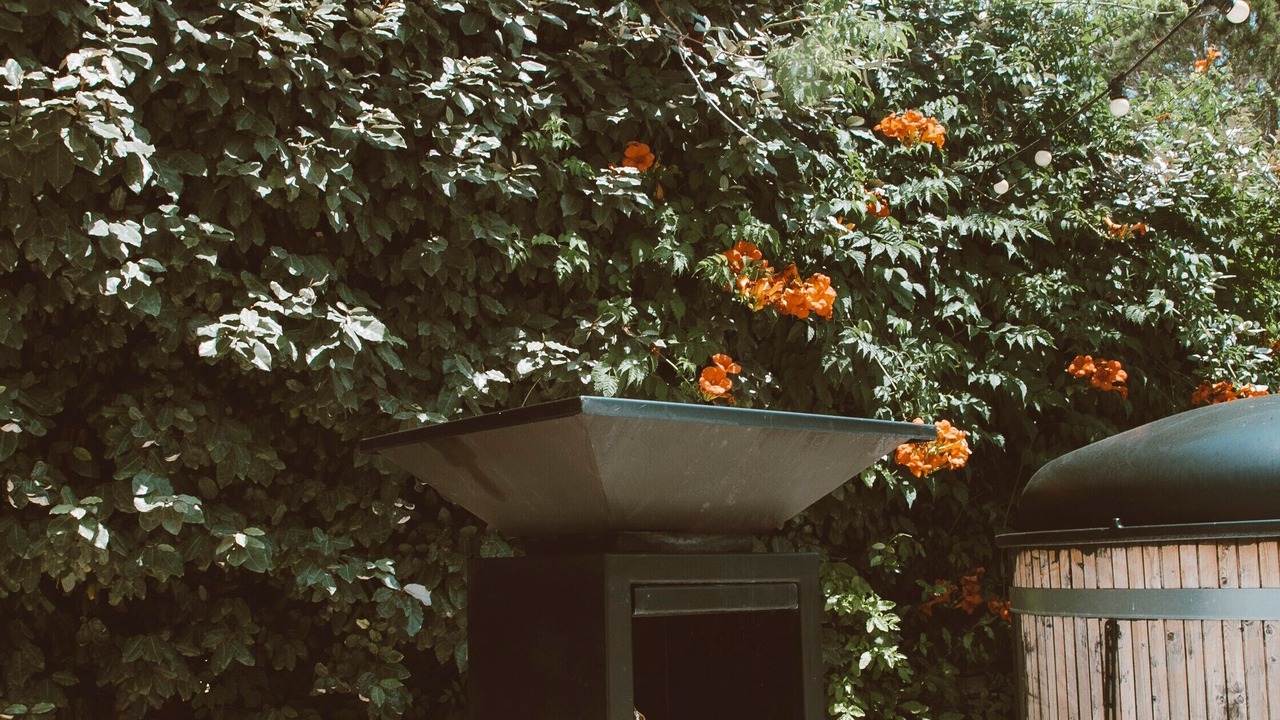 Photo of Outdoor in Saint-Laurent-d'Aigouze