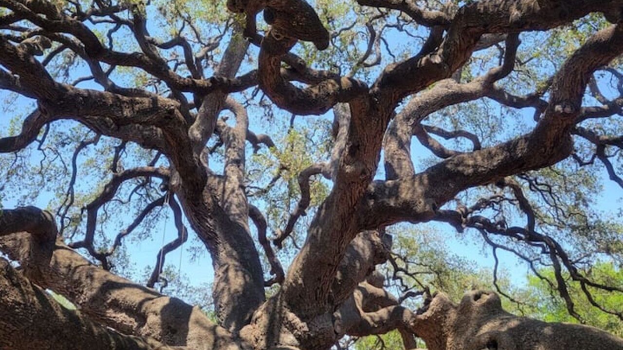 Photo of Others in Rio Frio
