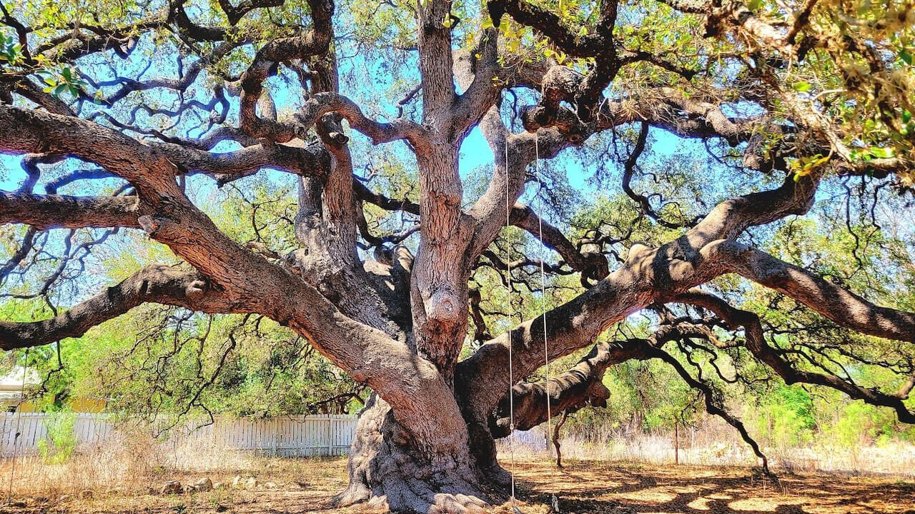 Photo of Others in Rio Frio