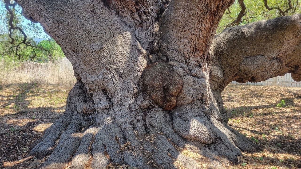 Photo of Others in Rio Frio