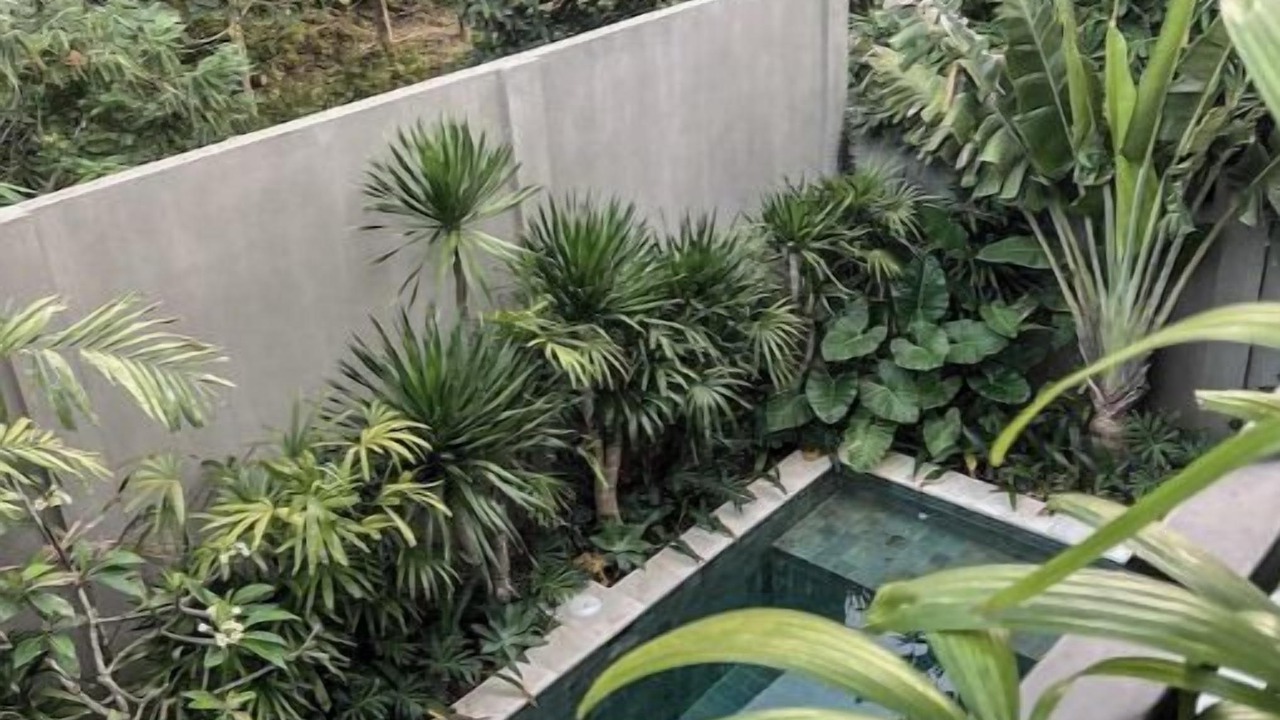 Photo of Outdoor in Kuta