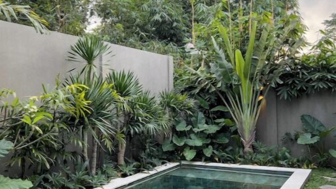 Photo of Outdoor in Kuta