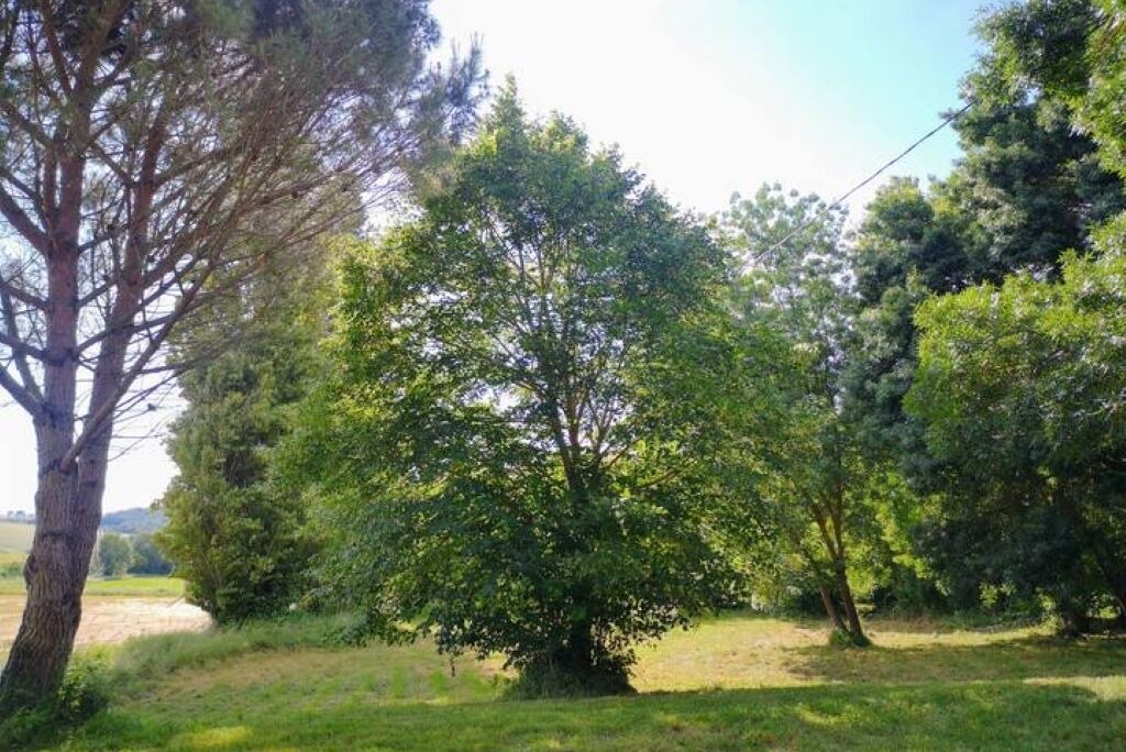 Photo of Others in Salles-sur-lʼHers