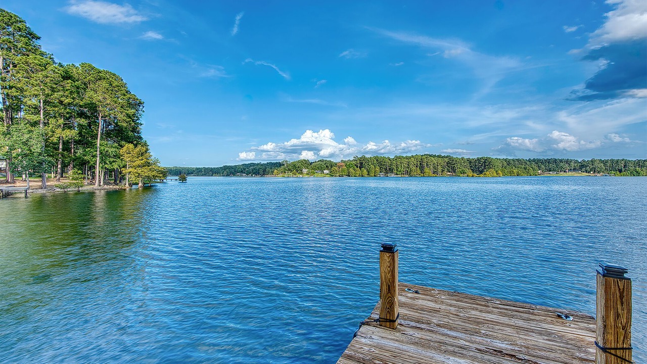 Photo of Others in South Toledo Bend
