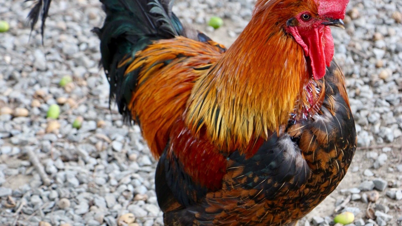 Photo of Others in Les Champs-Geraux