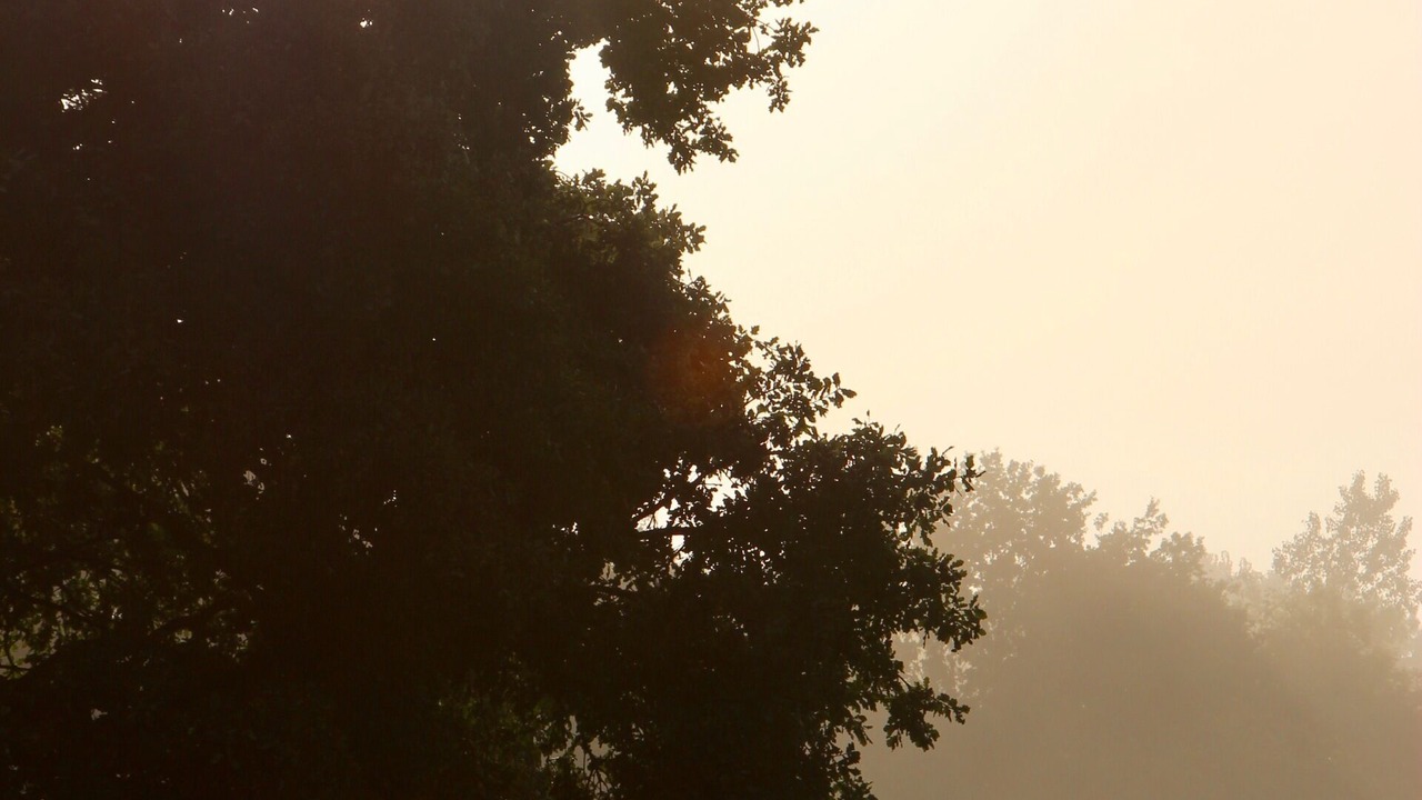 Photo of Others in Les Champs-Geraux