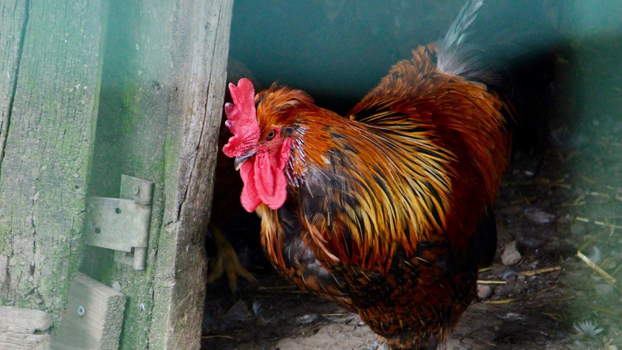 Photo of Others in Les Champs-Geraux