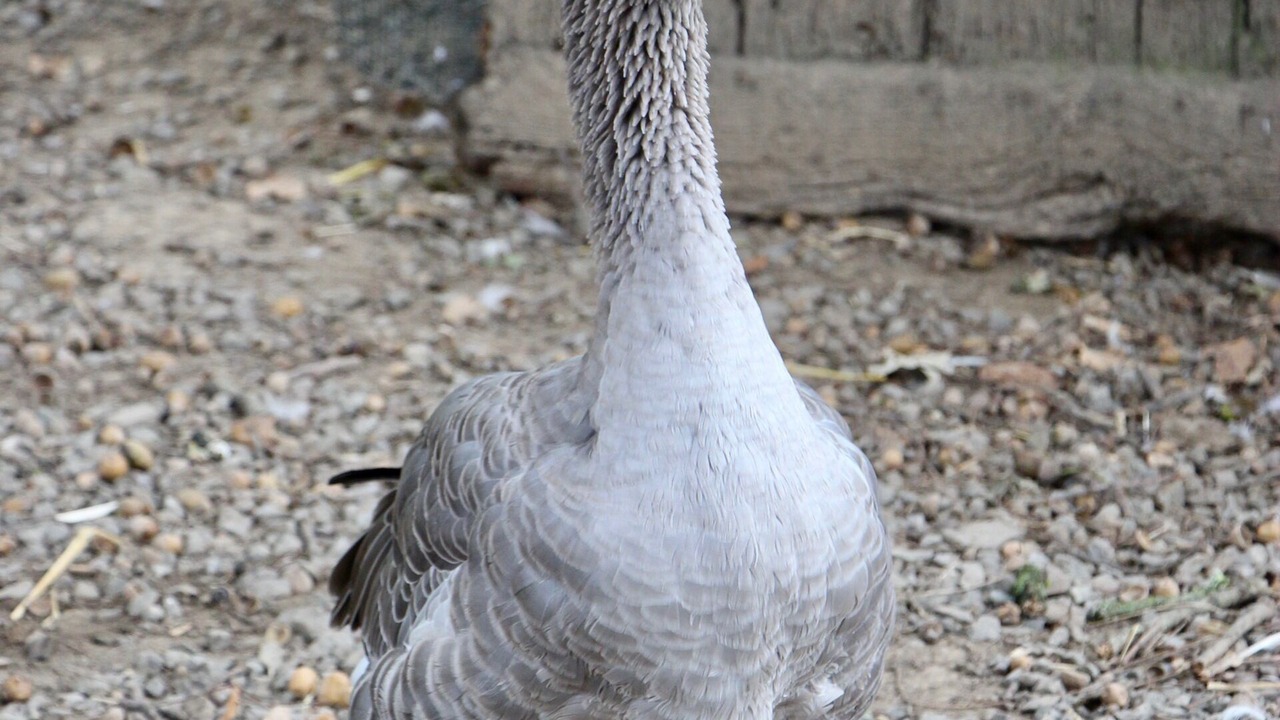 Photo of Others in Les Champs-Geraux