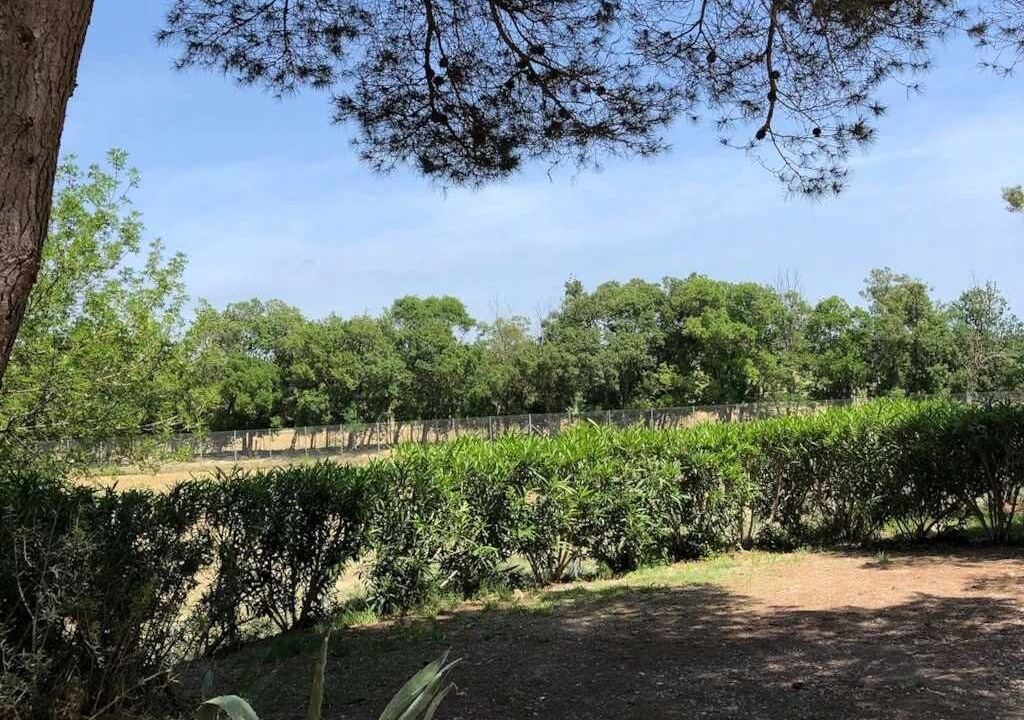 Photo of Outdoor in Sigean