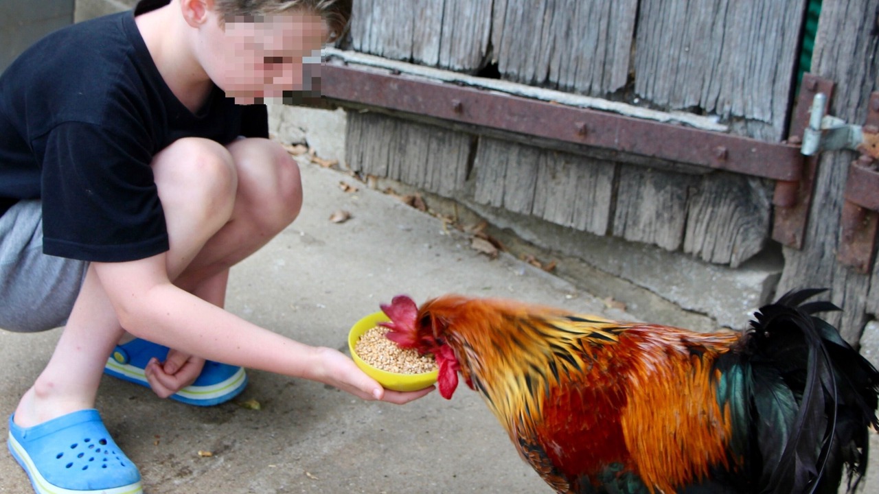 Photo of Others in Les Champs-Geraux